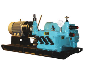 BW-300-16 Engineering Slurry Pump